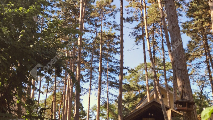 7. kép | Eladó Nyaraló, Komárom (#176831)