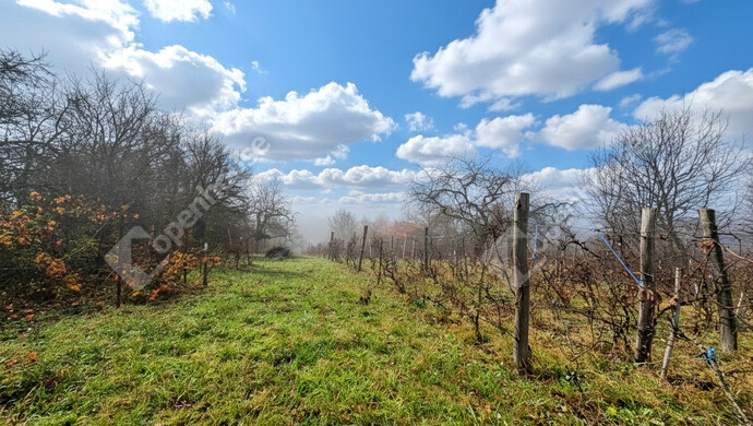 2. kép | Eladó Zárt kert, Mályi (#178619)