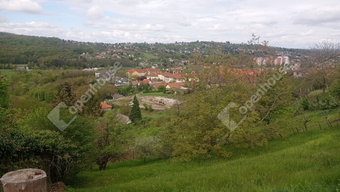 0. kép | Eladó Telek, Zalaegerszeg (#181205)