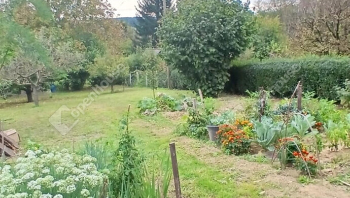 26. kép | Eladó Zárt kert, Zalaegerszeg (#177226)