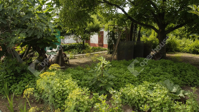 9. kép | Eladó Családi ház, Tass (#179988)