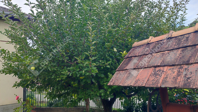 64. kép | Eladó Családi ház, Zalaszabar (#176395)