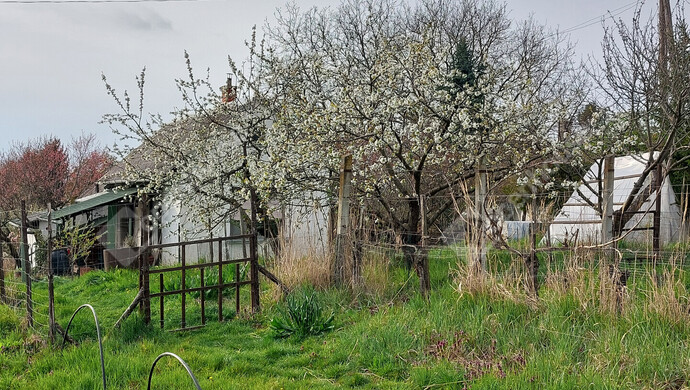 9. kép | Eladó Nyaraló, Nagykanizsa (#181407)