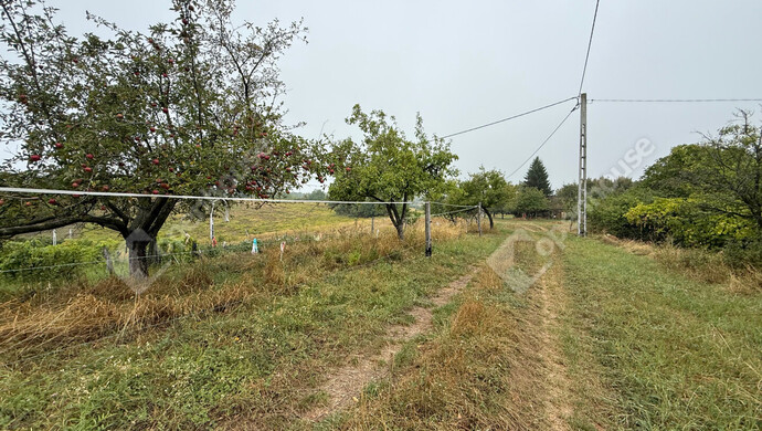 15. kép | Eladó Zárt kert, Nagykapornak (#176803)