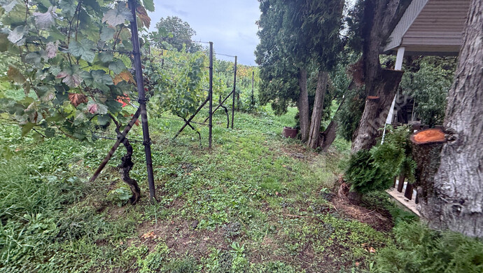 36. kép | Eladó Zárt kert, Zalaegerszeg (#177101)