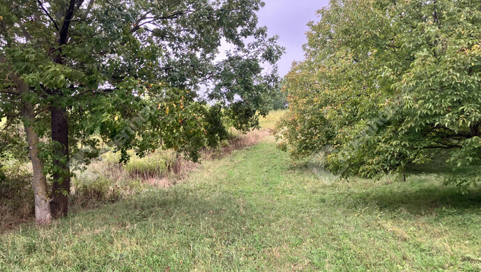 6. kép | Eladó Telek, Vöckönd (#177205)