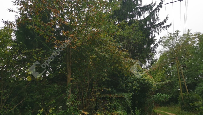 1. kép | Eladó Nyaraló, Őrtilos (#175761)