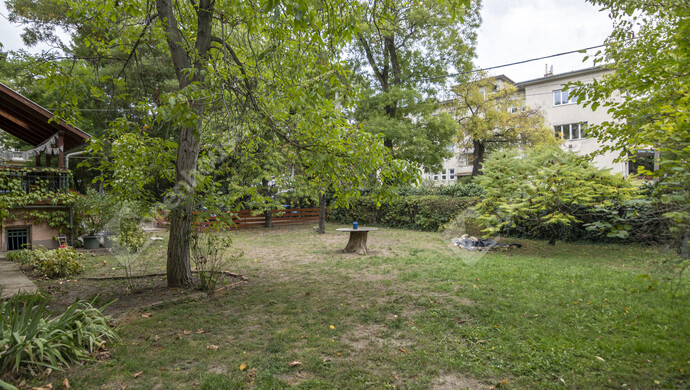 59. kép | Eladó Családi ház, Budapest II. Ker. (#177436)