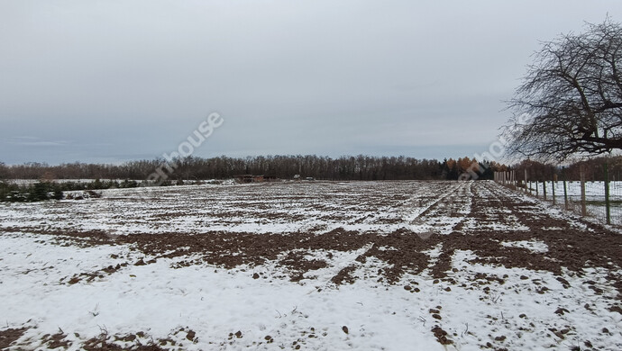 24. kép | Eladó Családi ház, Nagykanizsa (#178678)