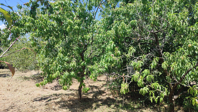 36. kép | Eladó Nyaraló, Szepetnek (#176202)