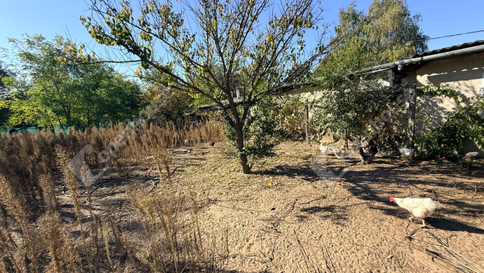 32. kép | Eladó Családi ház, Pilis (#178002)