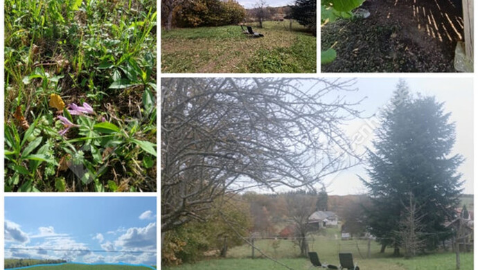 30. kép | Eladó Családi ház, Szilvágy (#178519)