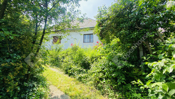 21. kép | Eladó Családi ház, Füzérradvány (#176221)