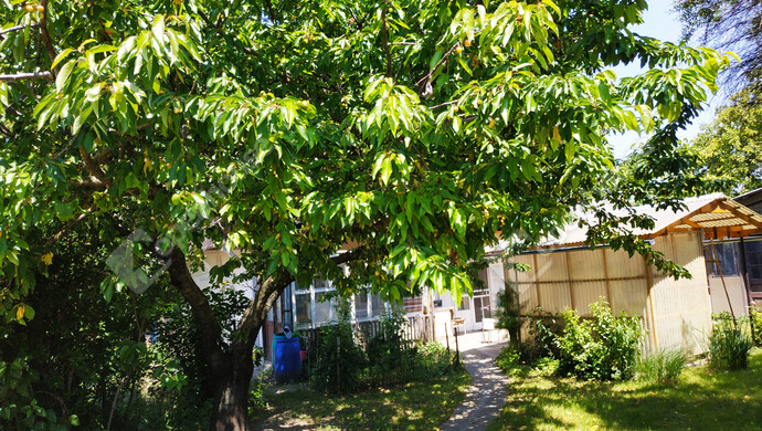 10. kép | Eladó Családi ház, Gyömrő (#176228)