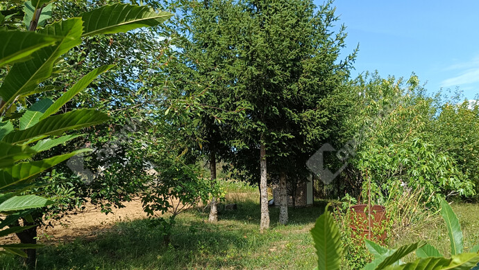14. kép | Eladó Családi ház, Galambok (#176380)