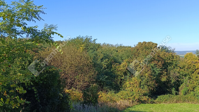 11. kép | Eladó Családi ház, Újudvar (#178058)