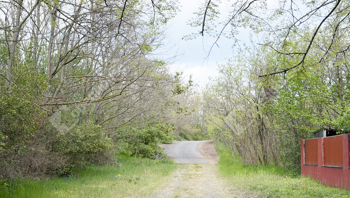 14. kép | Eladó Családi ház, Budapest XVI. Ker. (#181414)