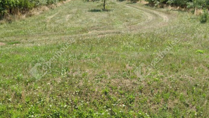 1. kép | Eladó Telek, Pápoc (#176855)