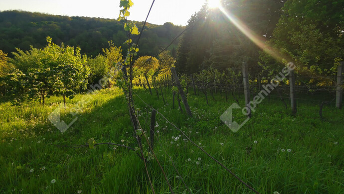 46. kép | Eladó Nyaraló, Homokkomárom (#174692)