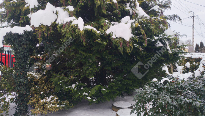 42. kép | Eladó Családi ház, Becsehely (#179150)