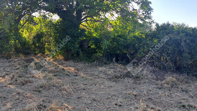 9. kép | Eladó Családi ház, Káptalantóti (#180046)