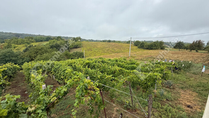 10. kép | Eladó Zárt kert, Nagykapornak (#176803)