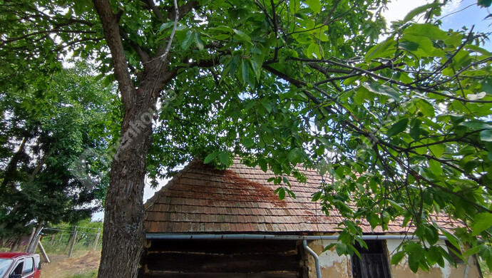 24. kép | Eladó Nyaraló, Homokkomárom (#174607)