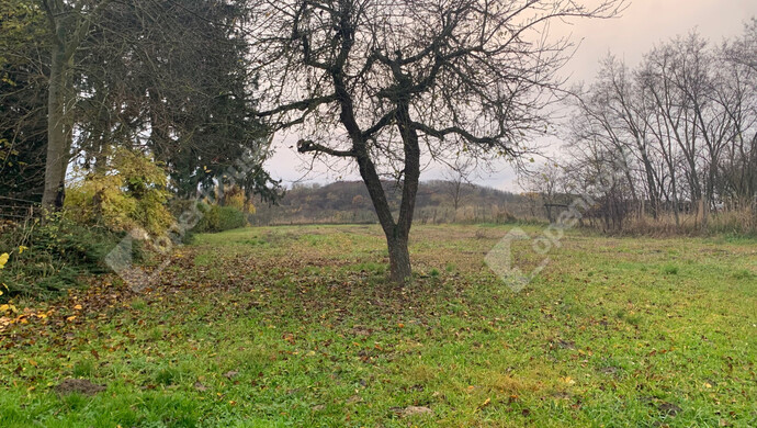 9. kép | Eladó Családi ház, Csehi (#178465)