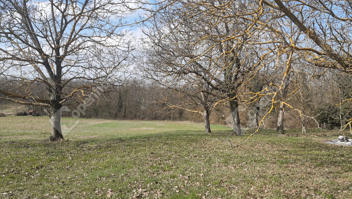 7. kép | Eladó Zárt kert, Sand (#180348)