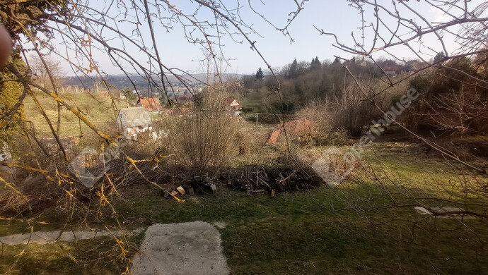 21. kép | Eladó Zárt kert, Zalaegerszeg (#180617)