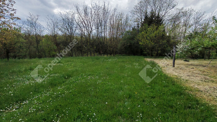 53. kép | Eladó Családi ház, Ötvöskónyi (#181241)