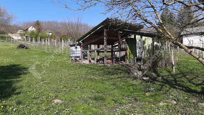 5. kép | Eladó Családi ház, Gősfa (#178305)