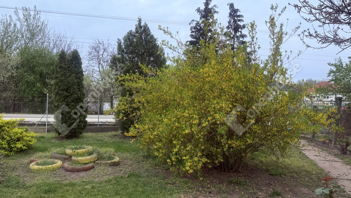 1. kép | Eladó Családi ház, Mórichida (#179992)