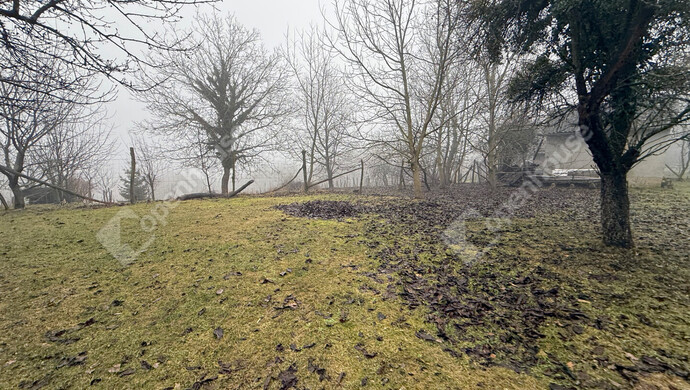 4. kép | Eladó Telek, Gyűrűs (#179594)