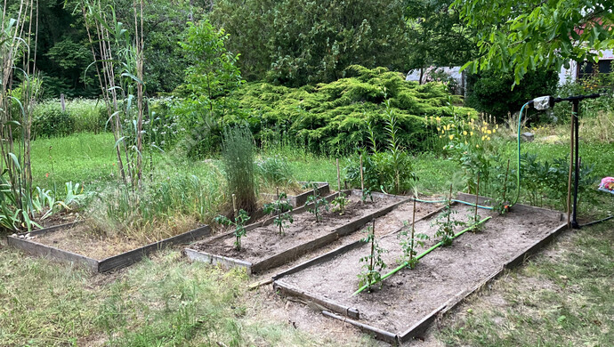 11. kép | Eladó Zárt kert, Bőny (#180133)