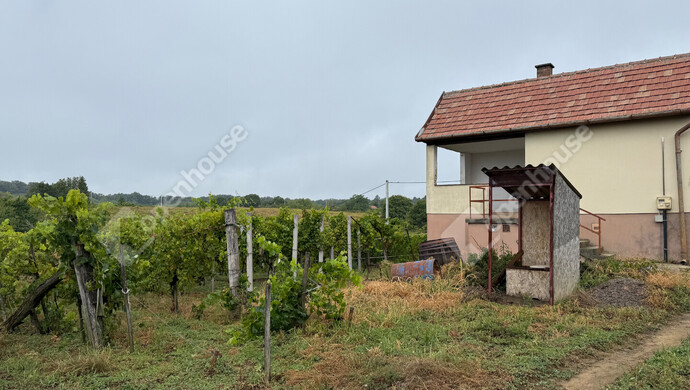 1. kép | Eladó Zárt kert, Nagykapornak (#176803)