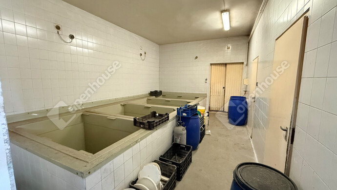 10. kép | Eladó Ipari ingatlan, Monor (#177539)