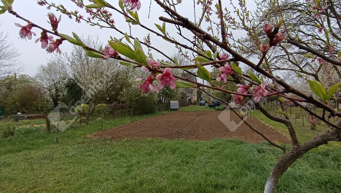 33. kép | Eladó Családi ház, Nagykanizsa (#181326)