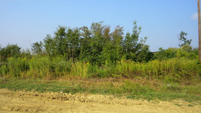2. kép | Eladó Mezőgazdasági, Salomvár (#108313)