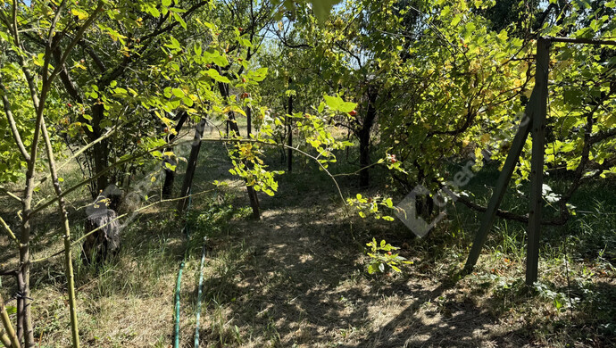 4. kép | Eladó Családi ház, Üröm (#179209)