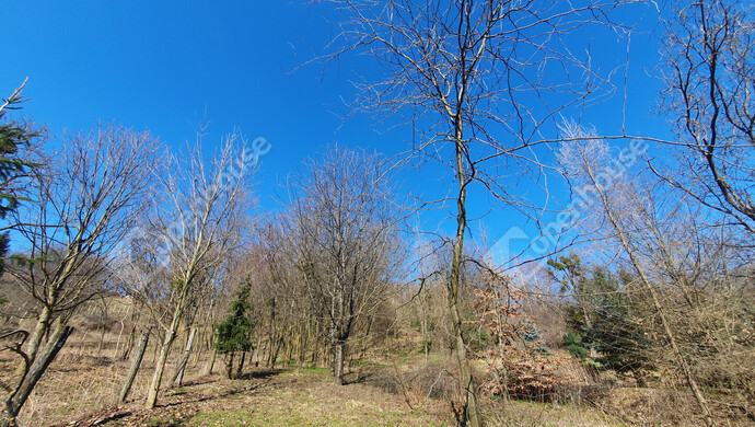 13. kép | Eladó Zárt kert, Homokkomárom (#180107)