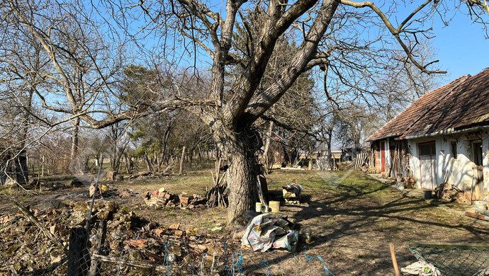 15. kép | Eladó Családi ház, Orosztony (#180439)