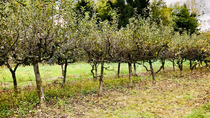 16. kép | Eladó Nyaraló, Tótszentmárton (#180089)