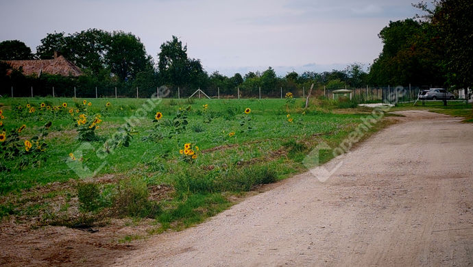 12. kép | Eladó Családi ház, Ságvár (#172726)