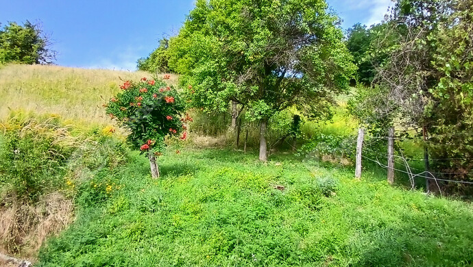 17. kép | Eladó Családi ház, Nagykapornak (#176421)