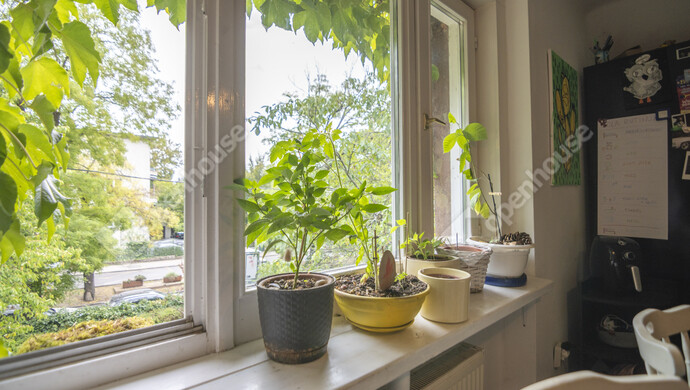 14. kép | Eladó Családi ház, Budapest II. Ker. (#177436)