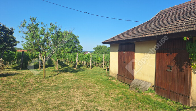 15. kép | Eladó Családi ház, Marcali (#177772)