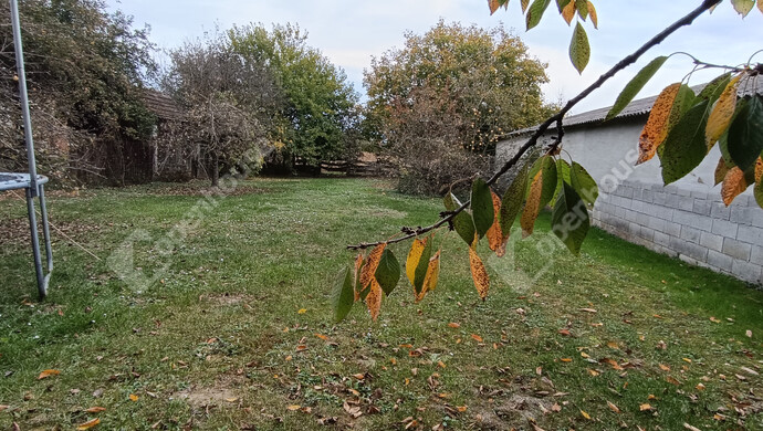 19. kép | Eladó Családi ház, Szepetnek (#178171)