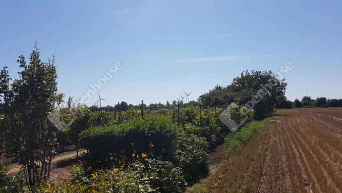 5. kép | Eladó Zárt kert, Levél (#178220)