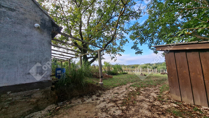18. kép | Eladó Nyaraló, Nagykanizsa (#184128)